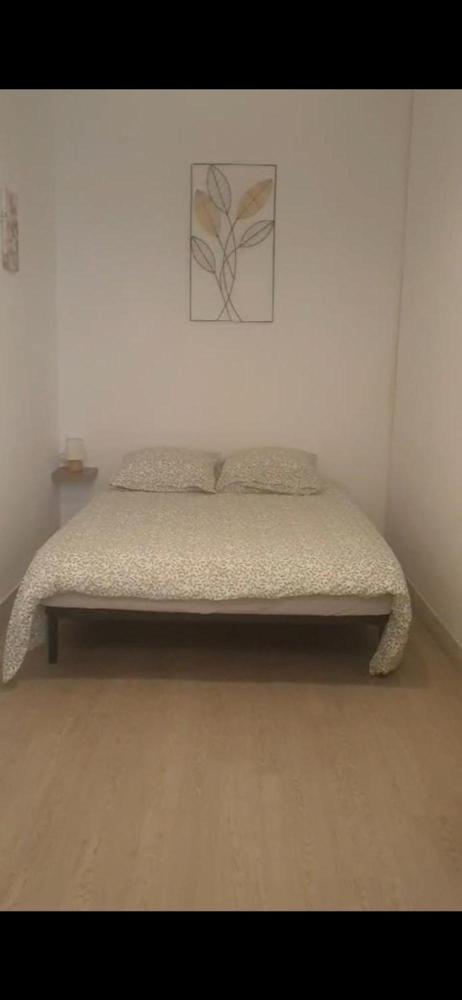 Appartement T3 Rez De Jardin مارسيليا المظهر الخارجي الصورة